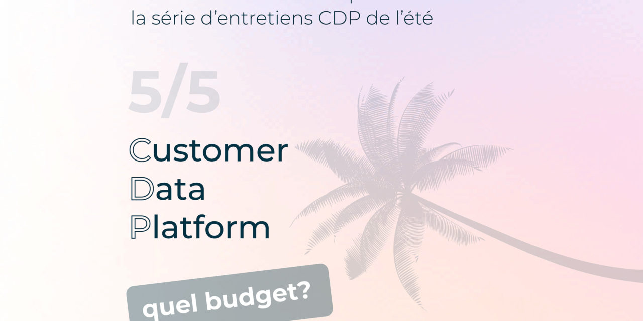 Quel budget pour une CDP (Customer Data Platform) ?